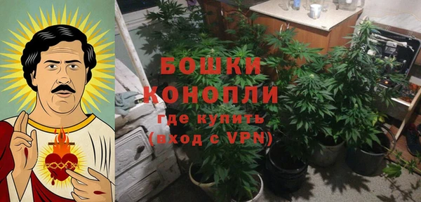 каннабис Абаза