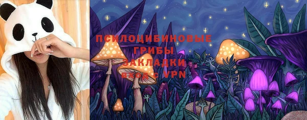 ГАЛЛЮЦИНОГЕННЫЕ ГРИБЫ Краснослободск