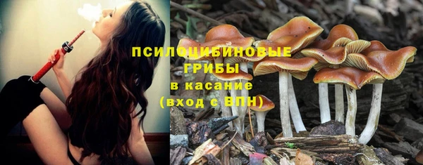 гашиш Абинск